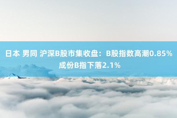 日本 男同 沪深B股市集收盘：B股指数高潮0.85% 成份B指下落2.1%
