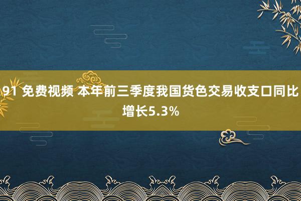91 免费视频 本年前三季度我国货色交易收支口同比增长5.3%