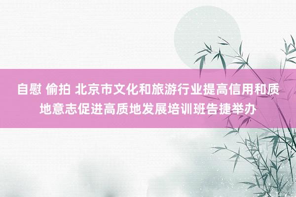 自慰 偷拍 北京市文化和旅游行业提高信用和质地意志促进高质地发展培训班告捷举办