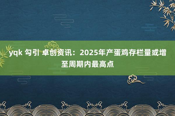 yqk 勾引 卓创资讯:2025年产蛋鸡存栏量或增至周期内最高点