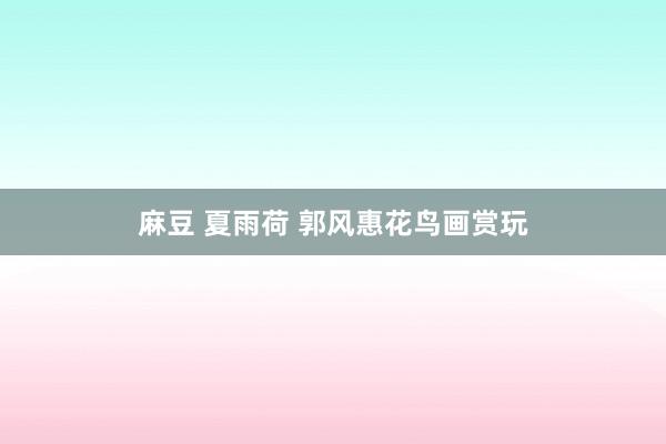 麻豆 夏雨荷 郭风惠花鸟画赏玩