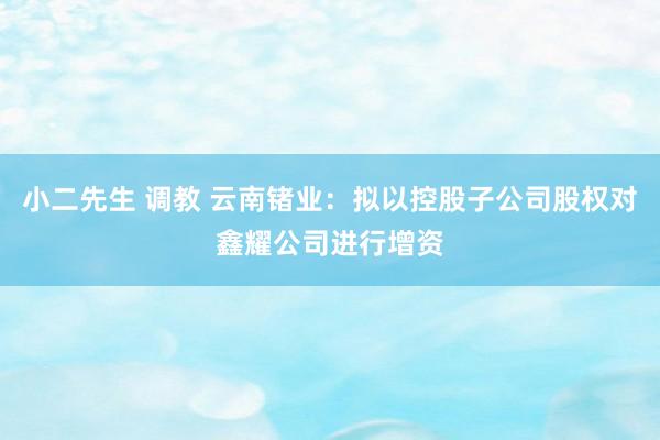 小二先生 调教 云南锗业:拟以控股子公司股权对鑫耀公司进行增资
