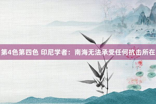 第4色第四色 印尼学者：南海无法承受任何抗击所在