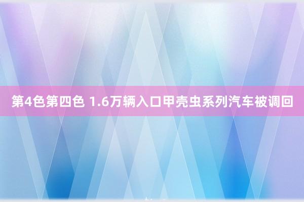 第4色第四色 1.6万辆入口甲壳虫系列汽车被调回