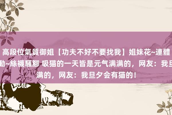 高段位氣質御姐【功夫不好不要找我】姐妹花~連體絲襪~大奶晃動~絲襪騷腳 吸猫的一天皆是元气满满的，网友：我旦夕会有猫的！
