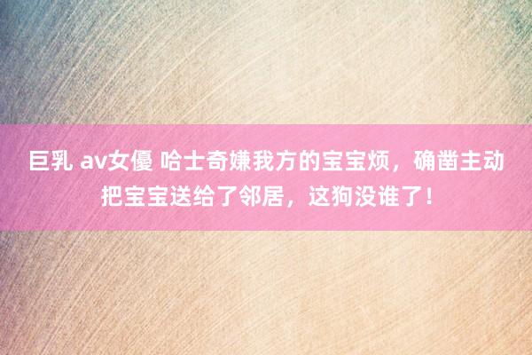 巨乳 av女優 哈士奇嫌我方的宝宝烦，确凿主动把宝宝送给了邻居，这狗没谁了！