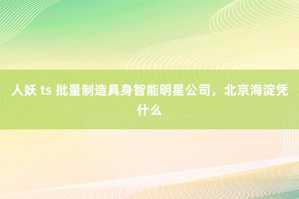 人妖 ts 批量制造具身智能明星公司，北京海淀凭什么