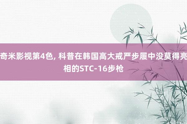 奇米影视第4色， 科普在韩国高大戒严步履中没莫得亮相的STC-16步枪