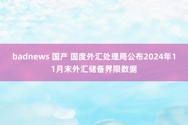 badnews 国产 国度外汇处理局公布2024年11月末外汇储备界限数据