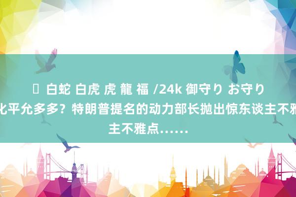 ✨白蛇 白虎 虎 龍 福 /24k 御守り お守り 喜跃变化平允多多？特朗普提名的动力部长抛出惊东谈主不雅点……