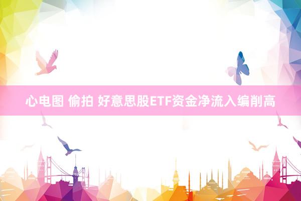 心电图 偷拍 好意思股ETF资金净流入编削高