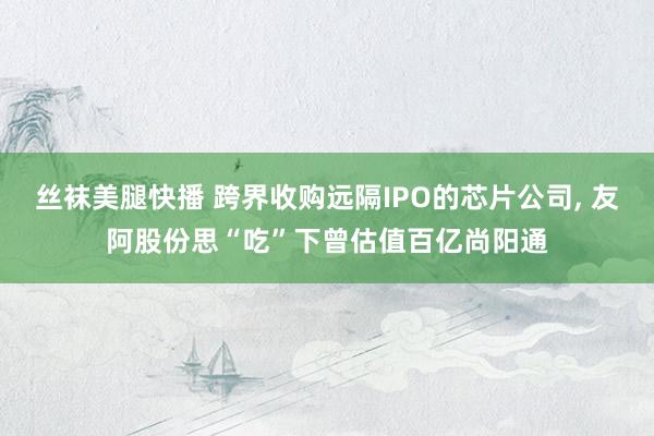 丝袜美腿快播 跨界收购远隔IPO的芯片公司， 友阿股份思“吃”下曾估值百亿尚阳通