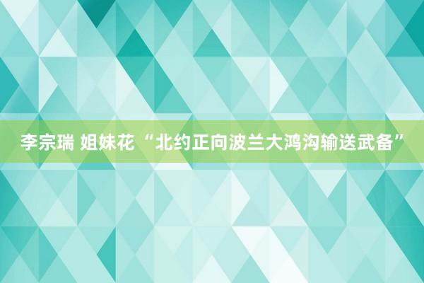 李宗瑞 姐妹花 “北约正向波兰大鸿沟输送武备”