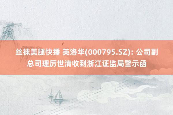 丝袜美腿快播 英洛华(000795.SZ): 公司副总司理厉世清收到浙江证监局警示函