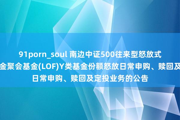 91porn_soul 南边中证500往来型怒放式指数证券投资基金聚会基金(LOF)Y类基金份额怒放日常申购、赎回及定投业务的公告