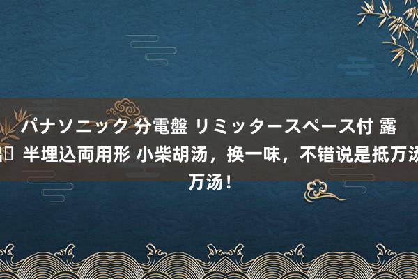 パナソニック 分電盤 リミッタースペース付 露出・半埋込両用形 小柴胡汤,换一味,不错说是抵万汤!