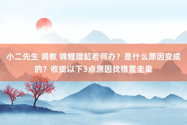 小二先生 调教 锦鲤蹭缸若何办？是什么原因变成的？收拢以下3点原因找措置圭臬