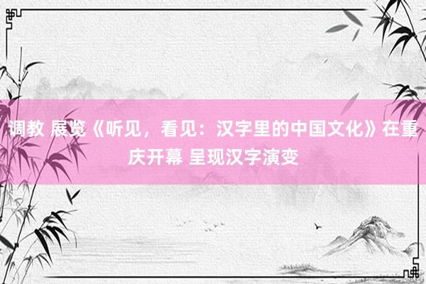 调教 展览《听见，看见：汉字里的中国文化》在重庆开幕 呈现汉字演变
