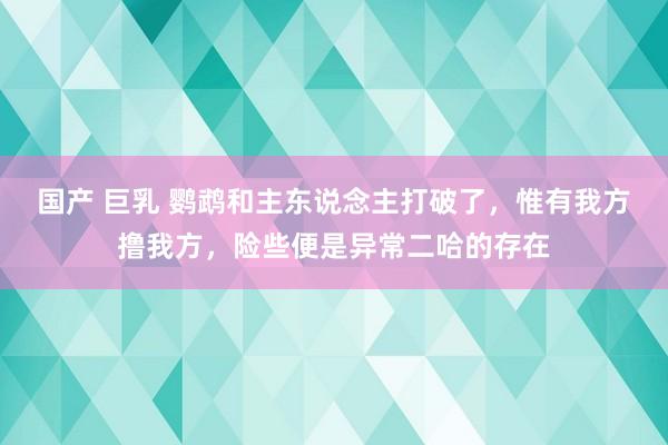 国产 巨乳 鹦鹉和主东说念主打破了，惟有我方撸我方，险些便是异常二哈的存在