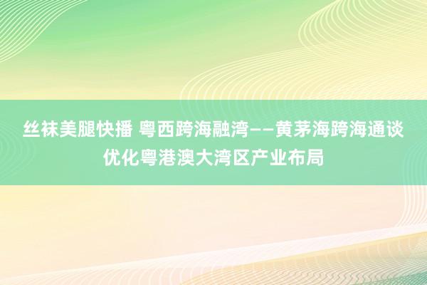 丝袜美腿快播 粤西跨海融湾——黄茅海跨海通谈优化粤港澳大湾区产业布局