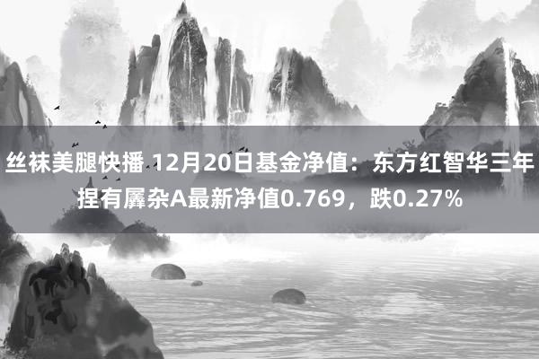 丝袜美腿快播 12月20日基金净值：东方红智华三年捏有羼杂A最新净值0.769，跌0.27%