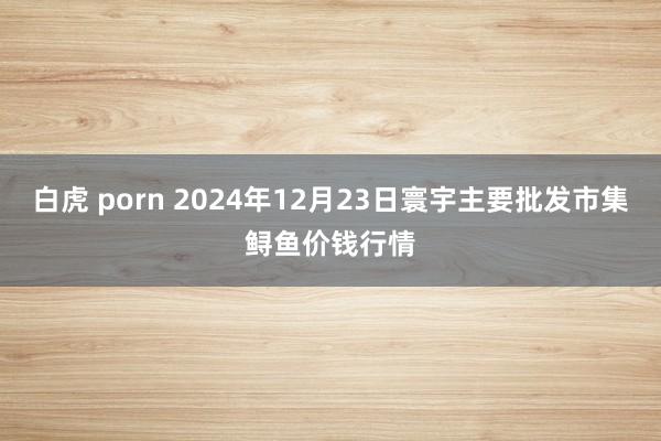白虎 porn 2024年12月23日寰宇主要批发市集鲟鱼价钱行情