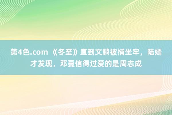 第4色.com 《冬至》直到文鹏被捕坐牢，陆嫣才发现，邓蔓信得过爱的是周志成