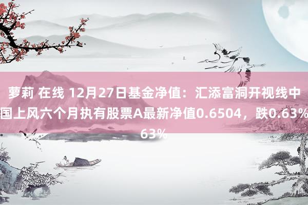萝莉 在线 12月27日基金净值：汇添富洞开视线中国上风六个月执有股票A最新净值0.6504，跌0.63%