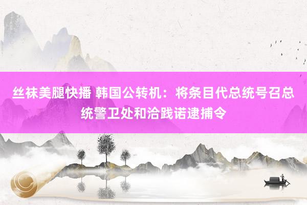 丝袜美腿快播 韩国公转机：将条目代总统号召总统警卫处和洽践诺逮捕令