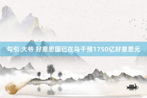 勾引 大爷 好意思国已在乌干预1750亿好意思元