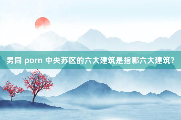 男同 porn 中央苏区的六大建筑是指哪六大建筑？
