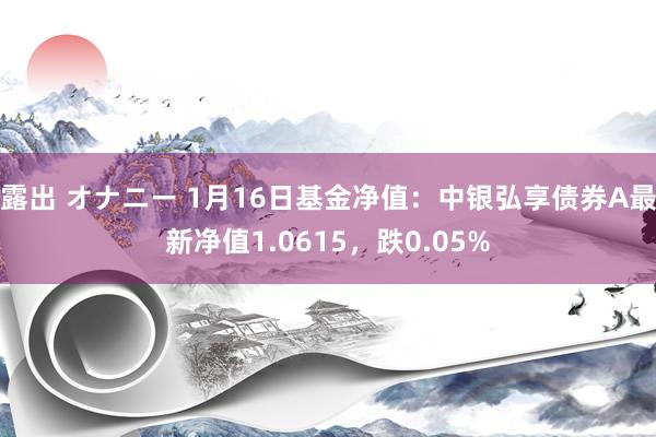 露出 オナニー 1月16日基金净值：中银弘享债券A最新净值1.0615，跌0.05%