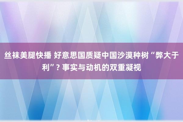 丝袜美腿快播 好意思国质疑中国沙漠种树“弊大于利”? 事实与动机的双重凝视