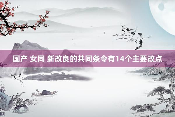 国产 女同 新改良的共同条令有14个主要改点