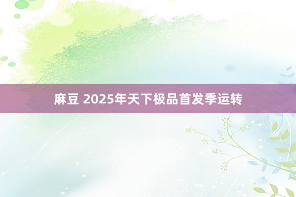 麻豆 2025年天下极品首发季运转