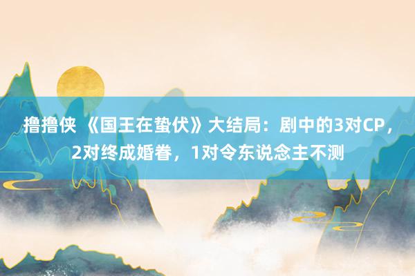 撸撸侠 《国王在蛰伏》大结局：剧中的3对CP，2对终成婚眷，1对令东说念主不测