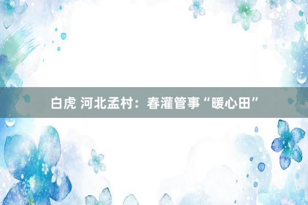 白虎 河北孟村：春灌管事“暖心田”