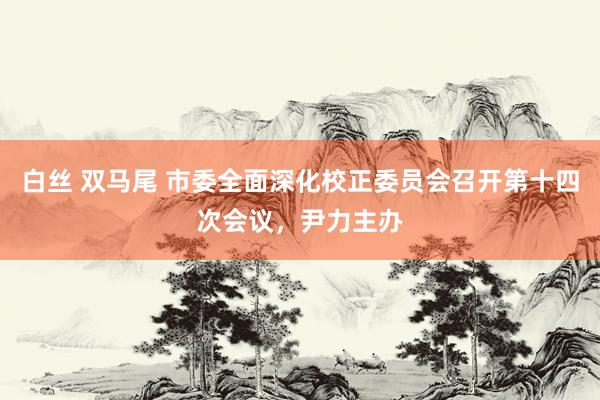 白丝 双马尾 市委全面深化校正委员会召开第十四次会议，尹力主办