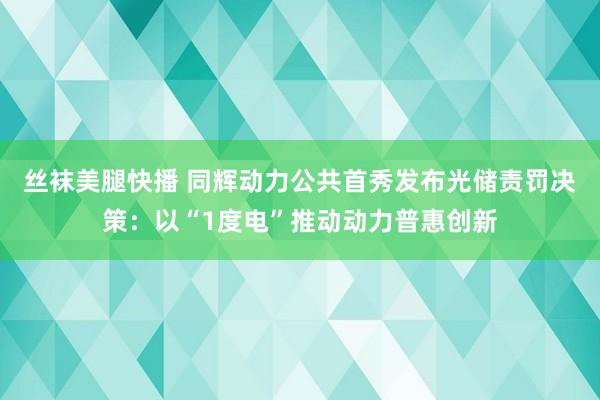 丝袜美腿快播 同辉动力公共首秀发布光储责罚决策：以“1度电”推动动力普惠创新