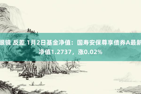 眼镜 反差 1月2日基金净值：国寿安保尊享债券A最新净值1.2737，涨0.02%