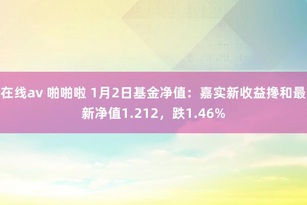 在线av 啪啪啦 1月2日基金净值：嘉实新收益搀和最新净值1.212，跌1.46%