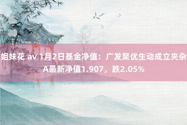 姐妹花 av 1月2日基金净值：广发聚优生动成立夹杂A最新净值1.907，跌2.05%