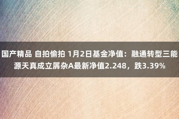 国产精品 自拍偷拍 1月2日基金净值：融通转型三能源天真成立羼杂A最新净值2.248，跌3.39%