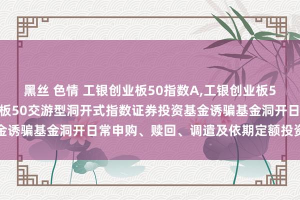 黑丝 色情 工银创业板50指数A,工银创业板50指数C: 工银瑞信创业板50交游型洞开式指数证券投资基金诱骗基金洞开日常申购、赎回、调遣及依期定额投资业务的公告