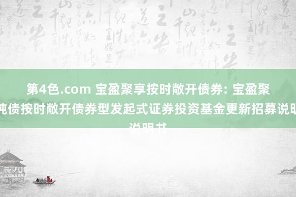 第4色.com 宝盈聚享按时敞开债券: 宝盈聚享纯债按时敞开债券型发起式证券投资基金更新招募说明书