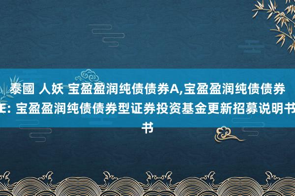泰國 人妖 宝盈盈润纯债债券A,宝盈盈润纯债债券E: 宝盈盈润纯债债券型证券投资基金更新招募说明书