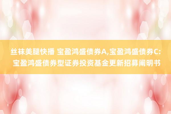 丝袜美腿快播 宝盈鸿盛债券A,宝盈鸿盛债券C: 宝盈鸿盛债券型证券投资基金更新招募阐明书