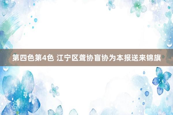 第四色第4色 江宁区聋协盲协为本报送来锦旗