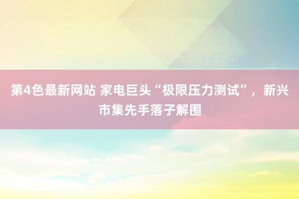 第4色最新网站 家电巨头“极限压力测试”，新兴市集先手落子解围