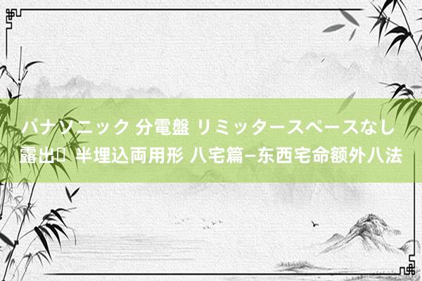 パナソニック 分電盤 リミッタースペースなし 露出・半埋込両用形 八宅篇—东西宅命额外八法